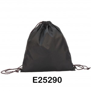 E25290