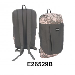 E26529B whole