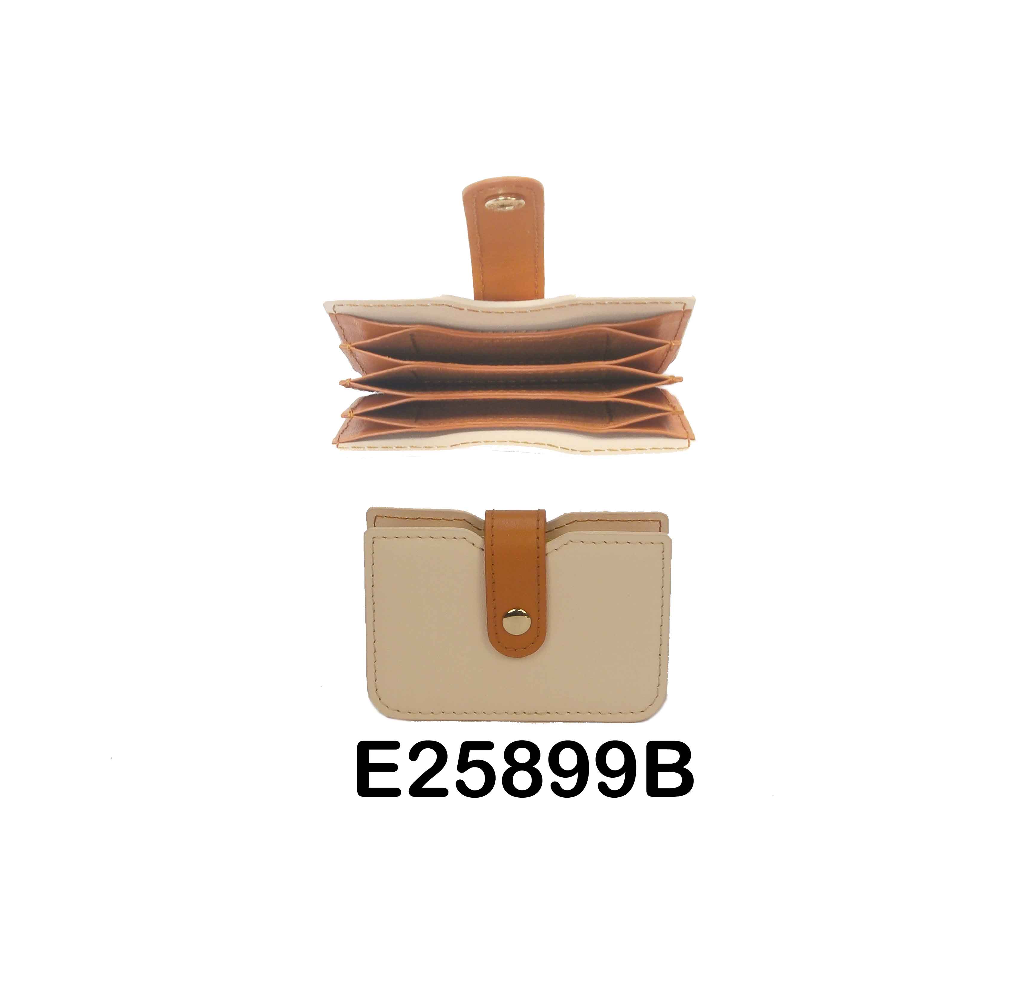 E25899B whole